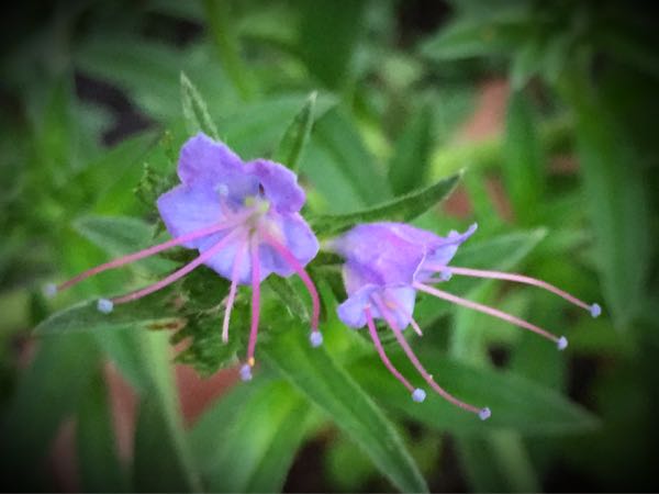 rblog-20160627210333-02.jpg