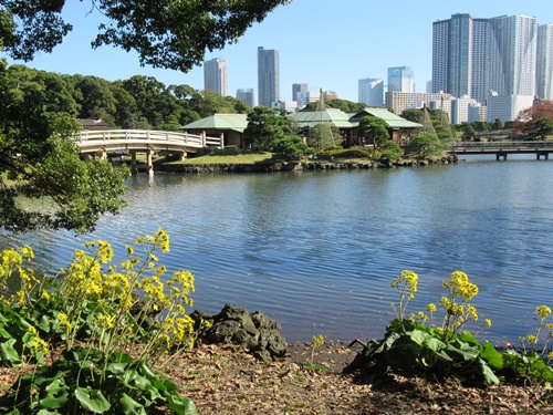 浜離宮恩賜庭園にて