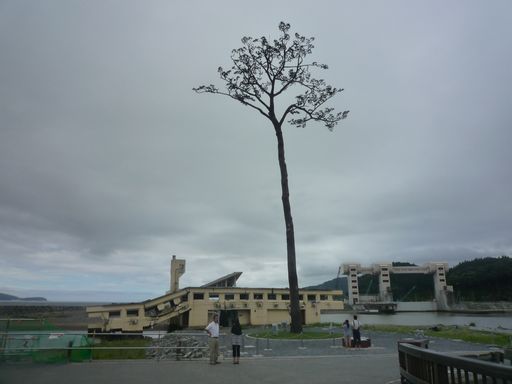 P1090467.JPG