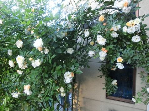 ギスレーヌ・ドゥ・フェリゴンド