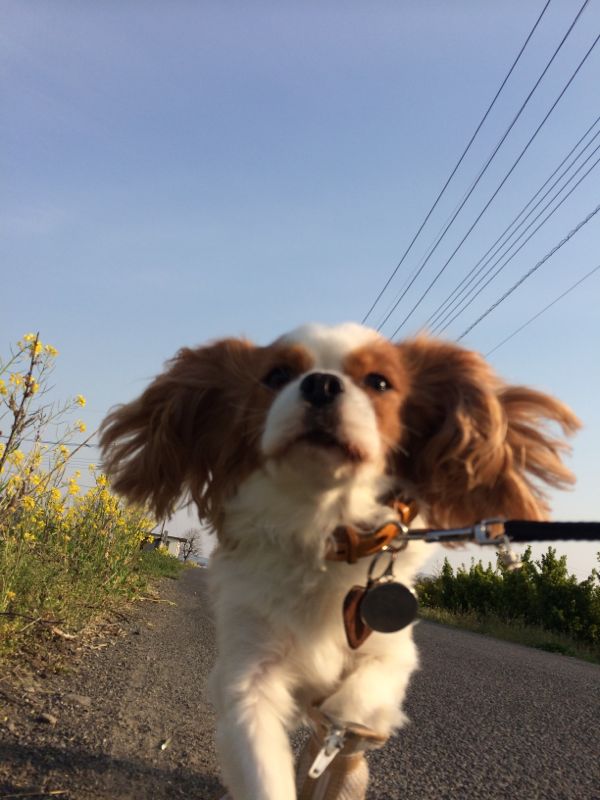 rblog-20140416232148-03.jpg