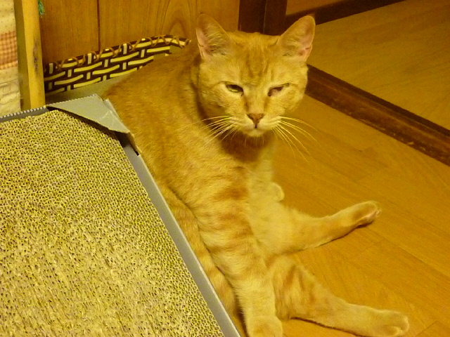 寝起き