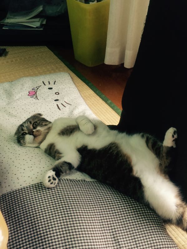 rblog-20150613204651-01.jpg