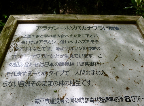 070 (500x368).jpg