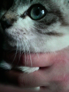 2012-03-09 08:23:57