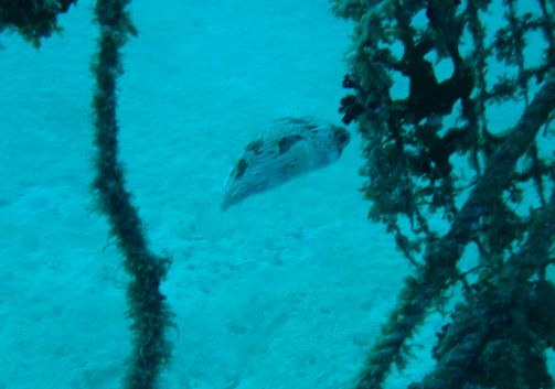 DSCF5338.JPG