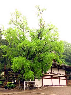 IMG_2426.jpg