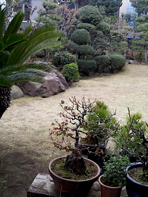 120407_130048.jpg