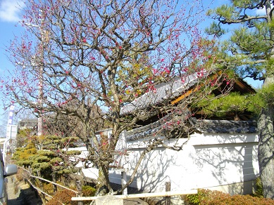 法住寺