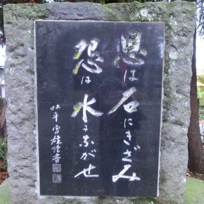 CIMG2294.JPG