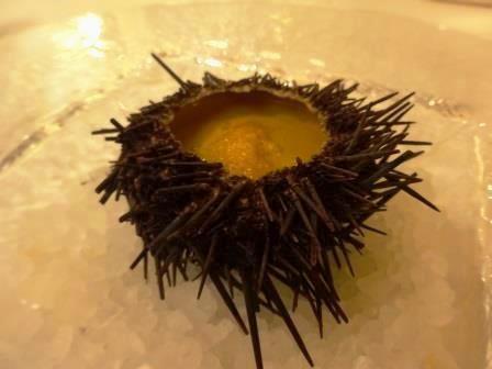 005.JPG