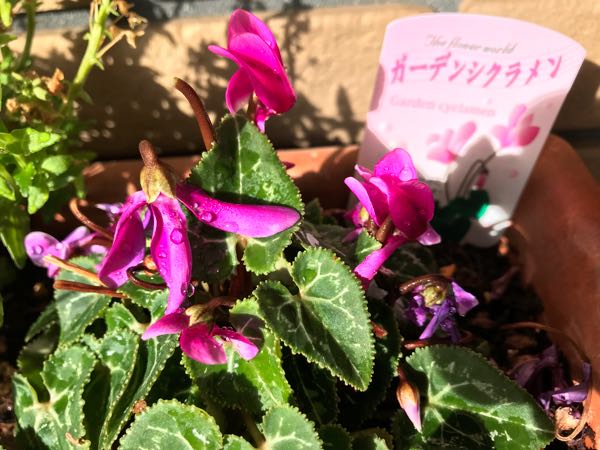 rblog-20180326193404-08.jpg
