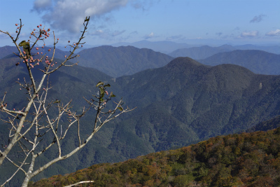 伊吹山5