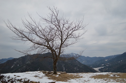 DSC_0051.JPG