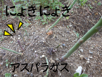 P4050005.png