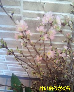 2013010411330000.jpg