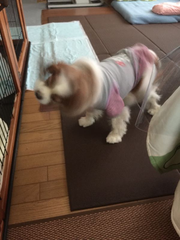 rblog-20160129131134-01.jpg