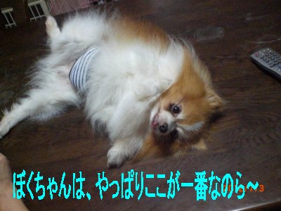 ティぼう