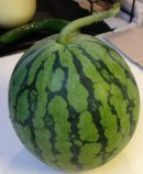 西瓜　7.27　2013
