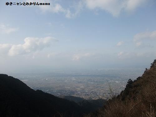 DSCF5176.jpg