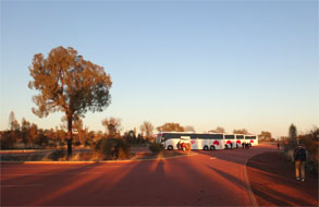 OZ878.jpg