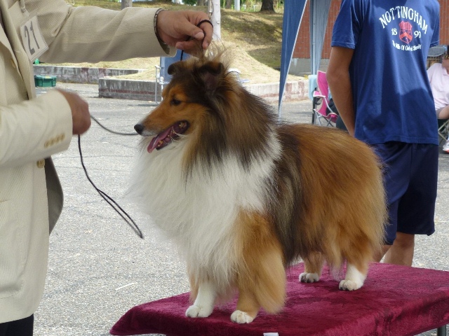 P1010736 - コピー.JPG