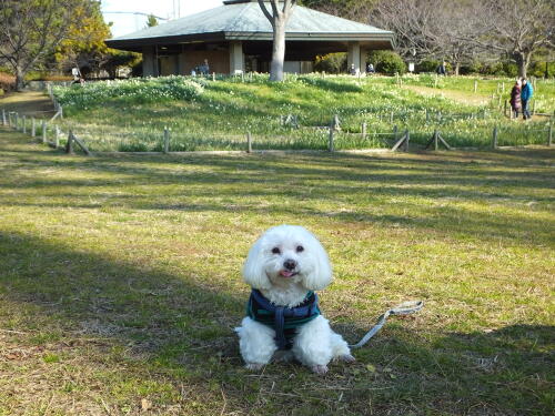 葛西臨海公園にて