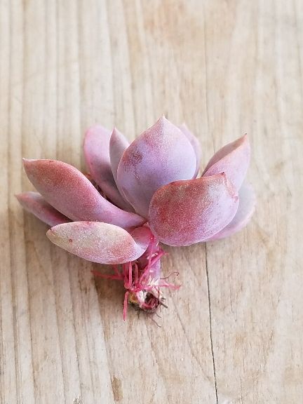 rblog-20180430124221-01.jpg