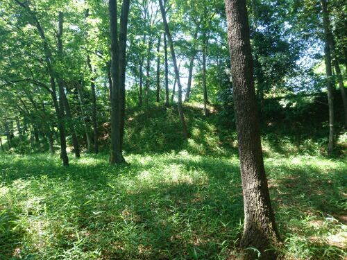 rblog-20180705001138-04.jpg