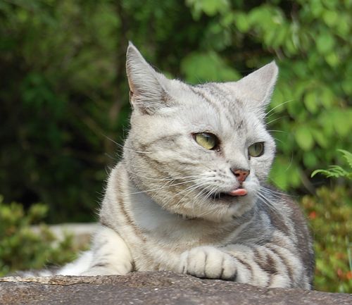 DSC_0416.JPG
