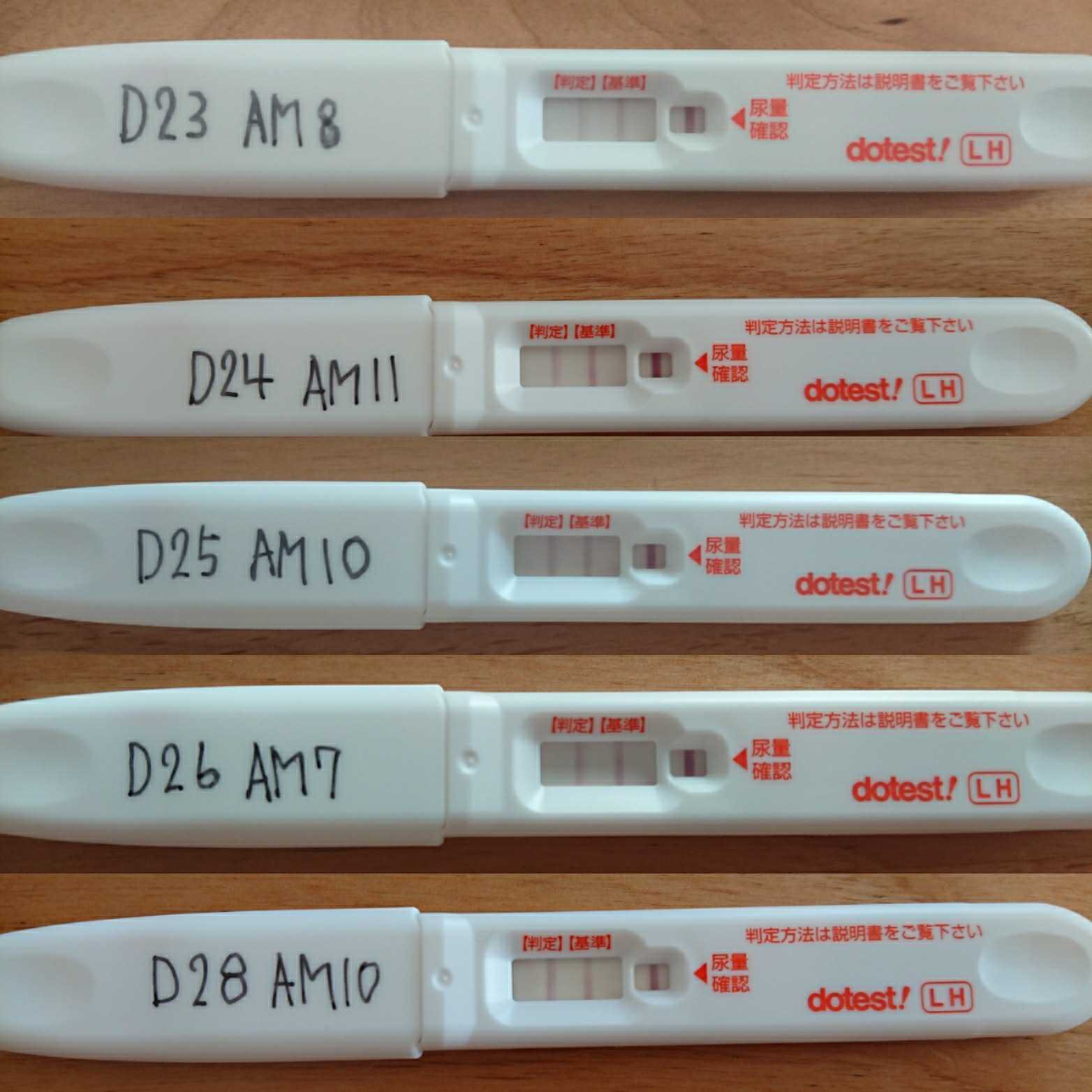 D32まで 排卵検査薬画像有 妊活ときどき日常 楽天ブログ