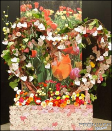 花の力
