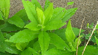 rblog-20130918223342-01.png