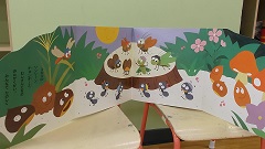 DSCF1631.JPG