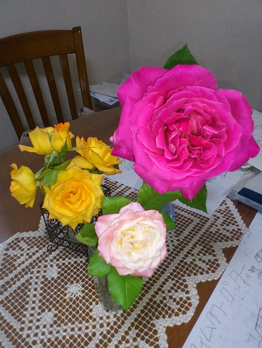 DSC_3742.JPG