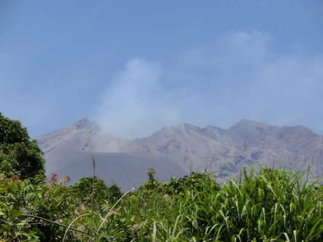 CIMG4179.jpg