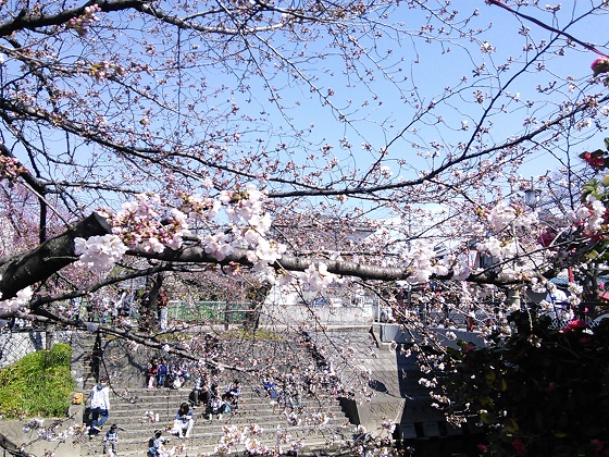 IMG_20170402_131816.jpg