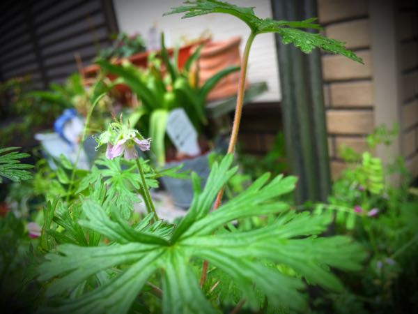 rblog-20160428173823-05.jpg