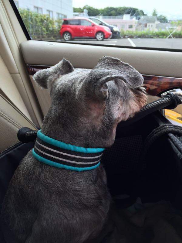 rblog-20150828013240-03.jpg