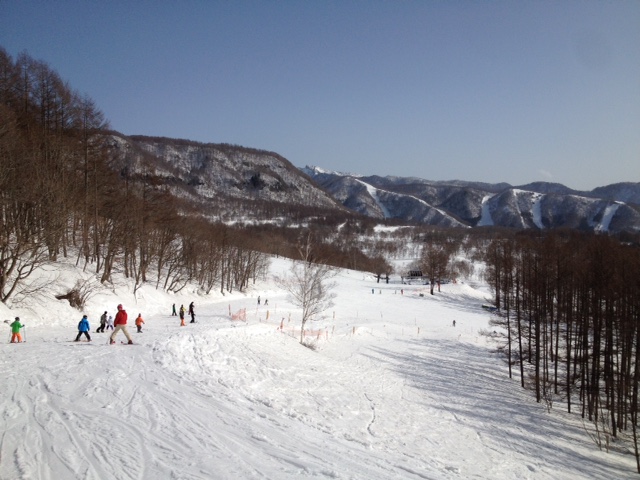 IMG_1371.JPG
