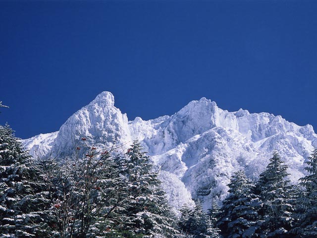 YokodakeB01.JPG