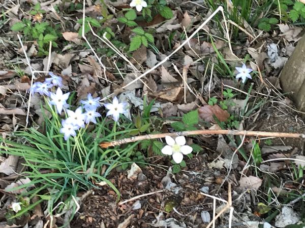 rblog-20180408180729-06.jpg