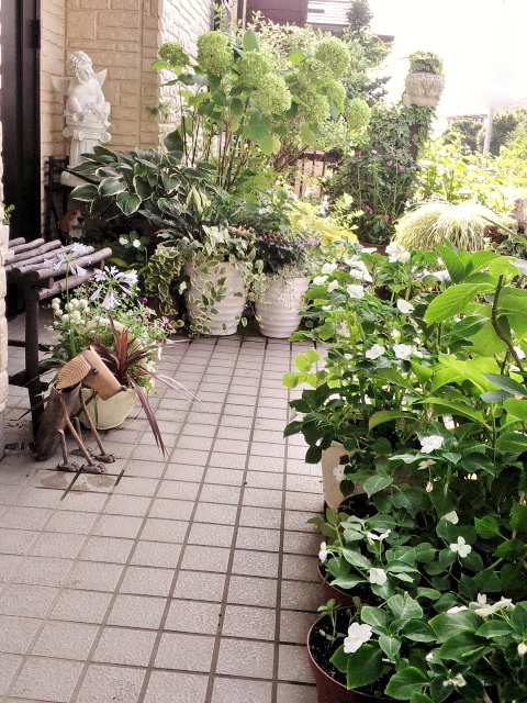 CA3H2371.jpg