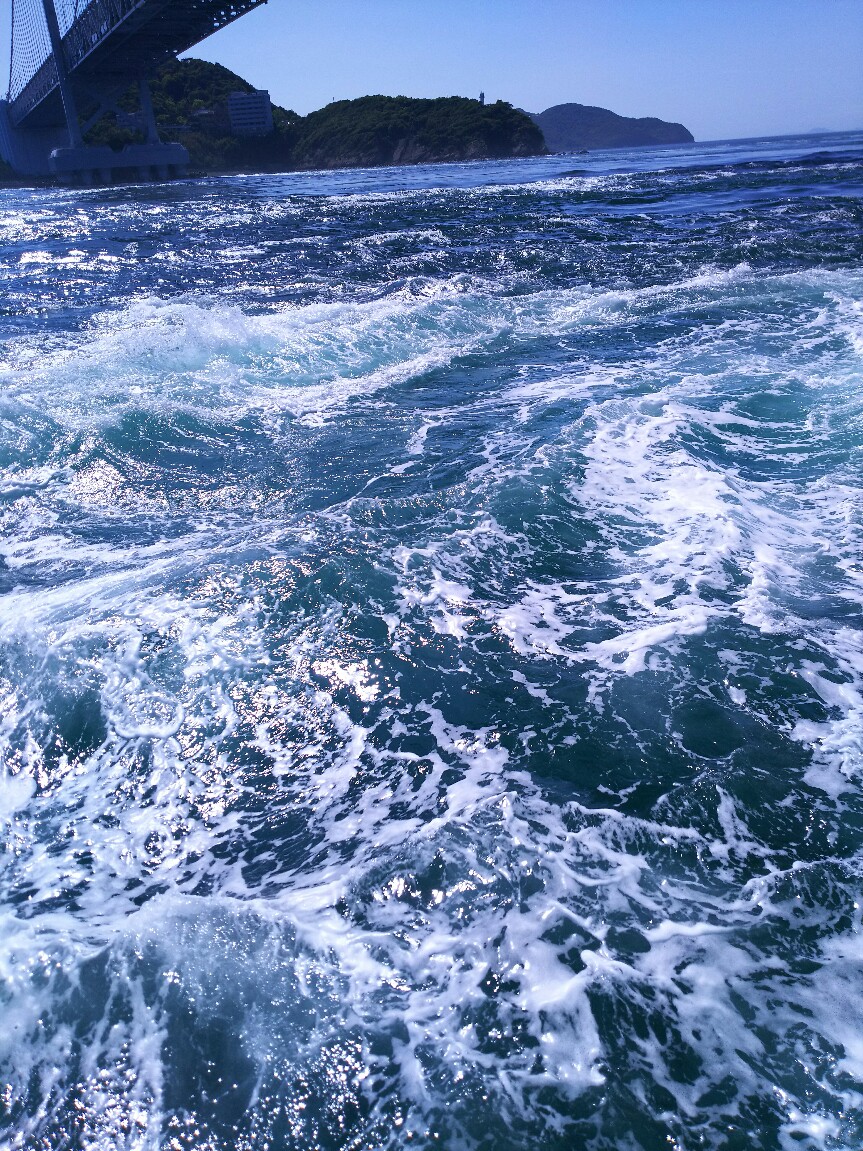 IMG_20170508_122433.jpg