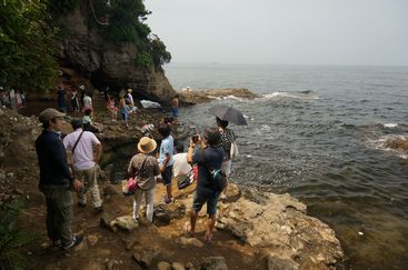 DSC00828.JPG