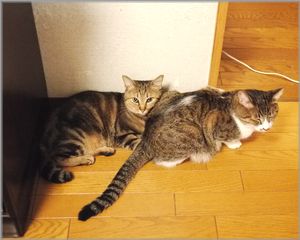 じぃ～っとしてます