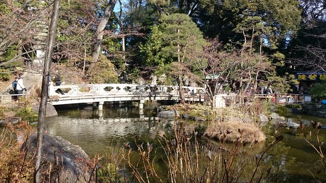 2016-01-02 10.09.00.jpg