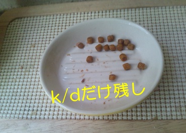 20120905_2.jpg