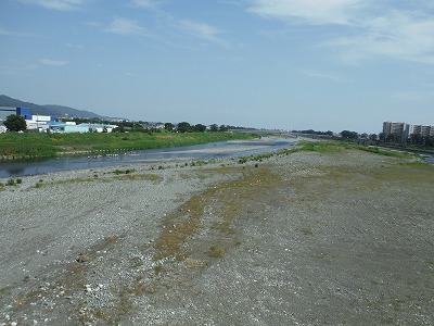 20140801酒匂川