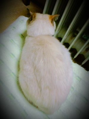 rblog-20150101174315-02.jpg